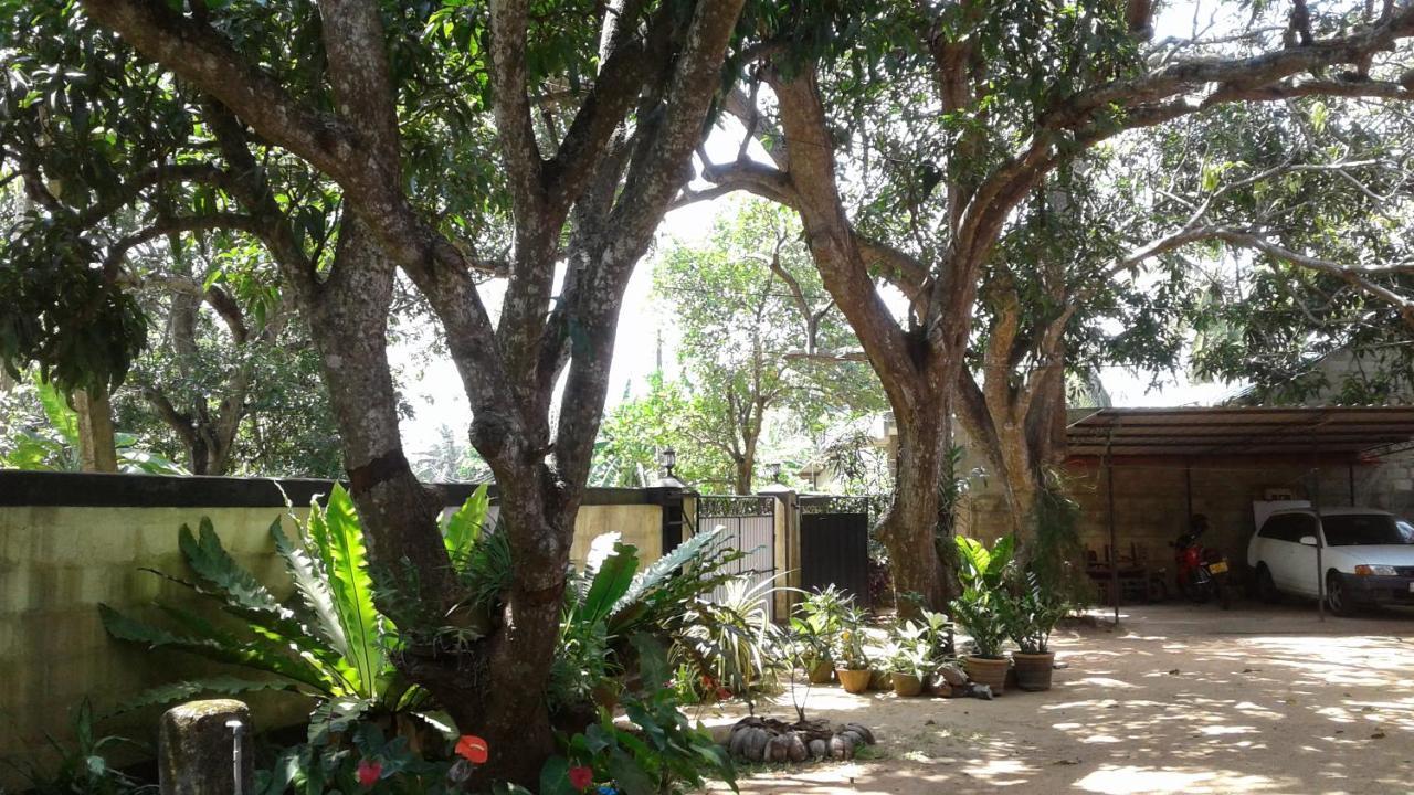 Water Front Home Stay And Resort 阿努拉德普勒 外观 照片